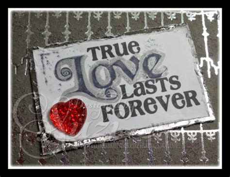 true love lasts forever the return of emery and wise Kindle Editon